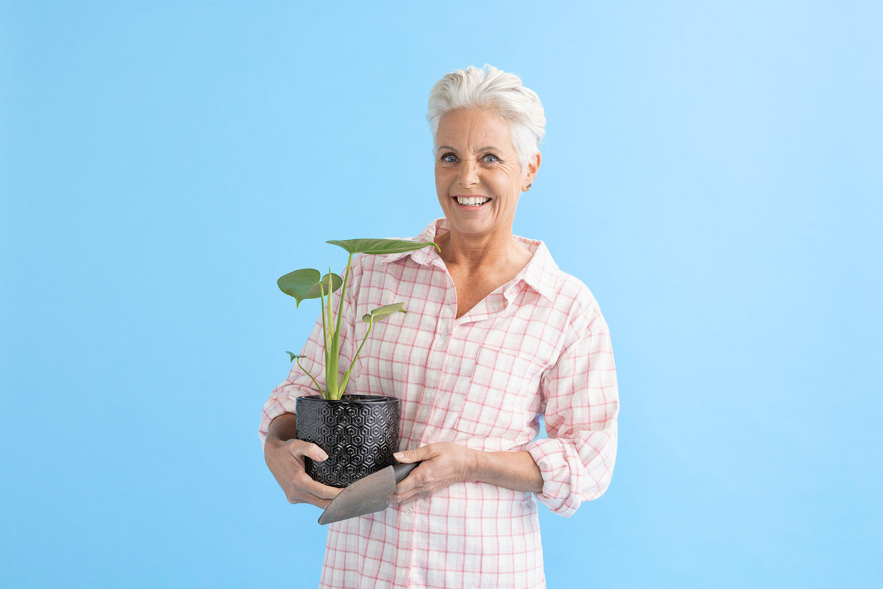 Join or transfer to AMP KiwiSaver Scheme AMP New Zealand